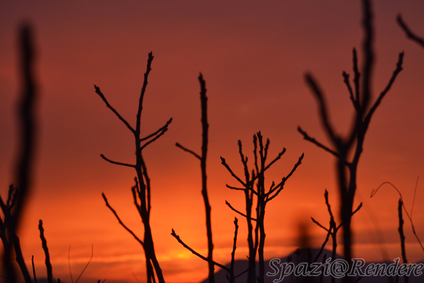 000ADSC_0399.jpg