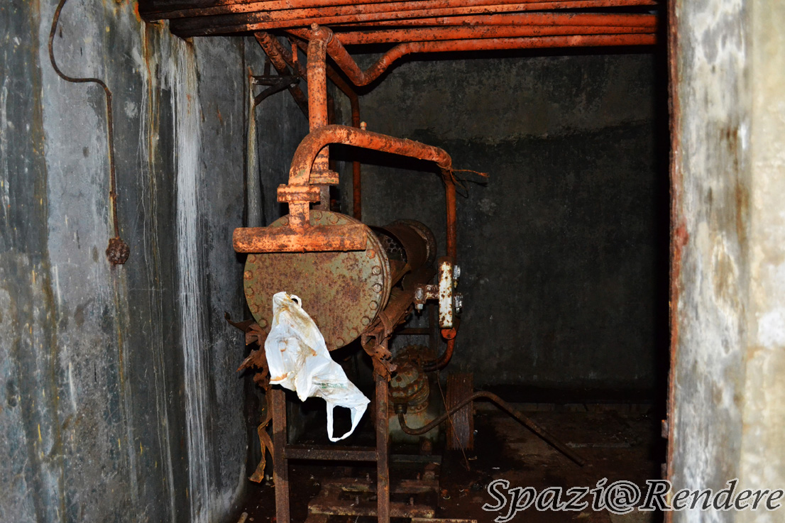 0tb06asDSC_8831.jpg