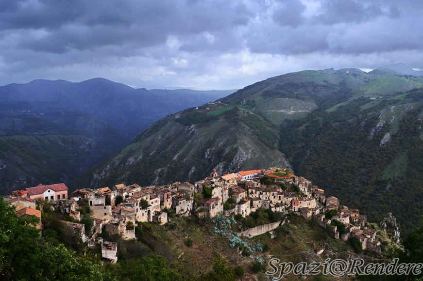 DSC_0206_newa.jpg
