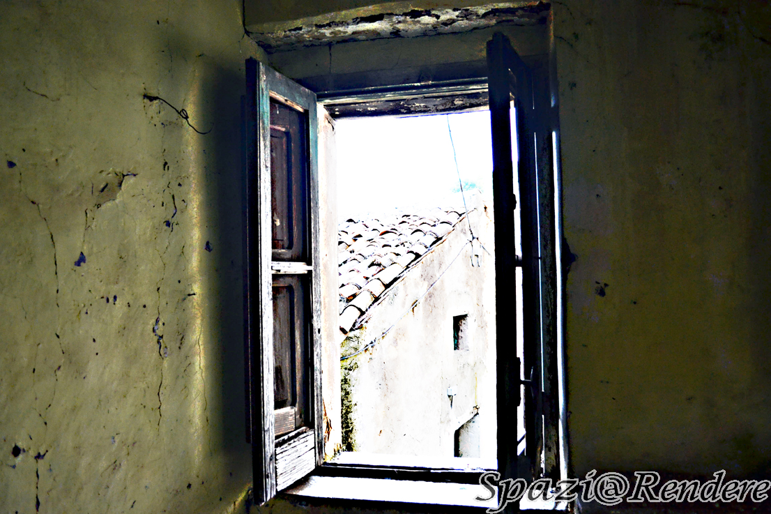 DSC_0257_newa.jpg