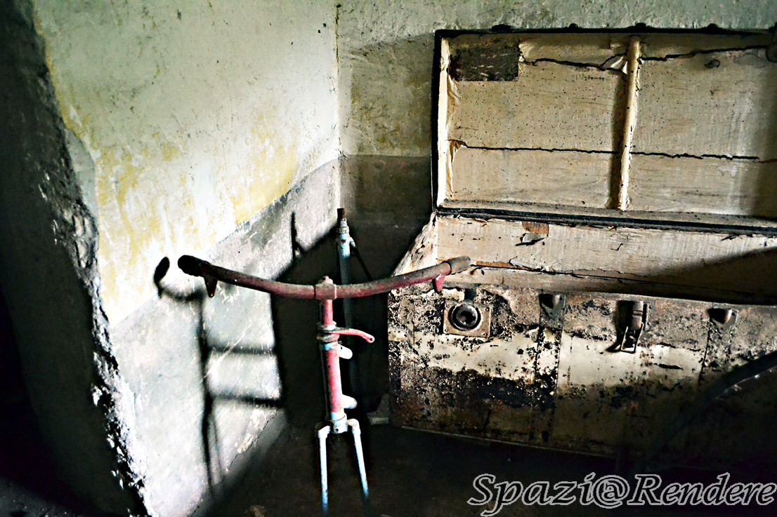 DSC_8762_newa.jpg