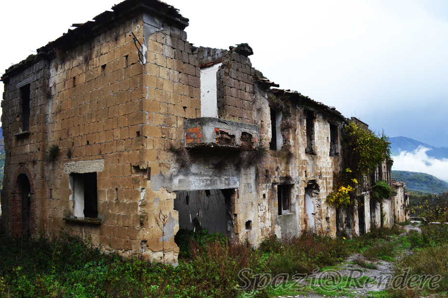 xzDSC_0710.jpg