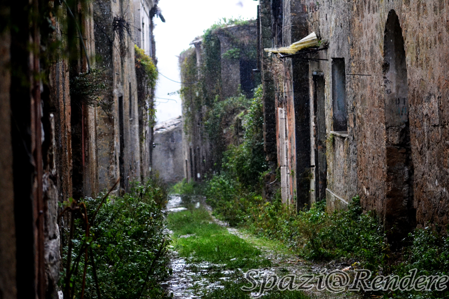 xzDSC_0743.jpg