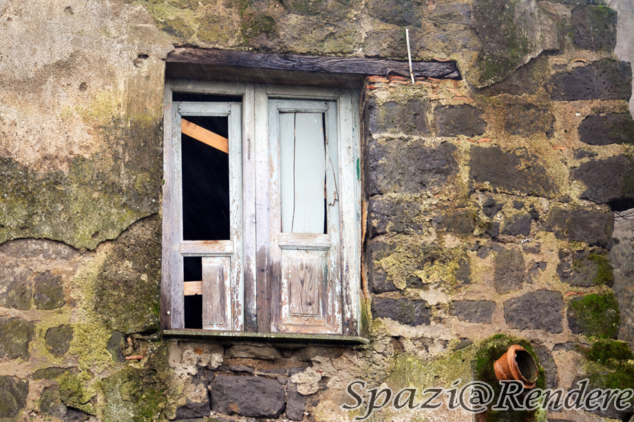 xzDSC_0786.jpg